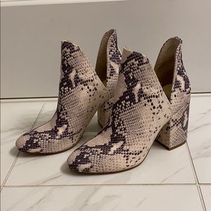 Snake Skin Steve Madden Booties